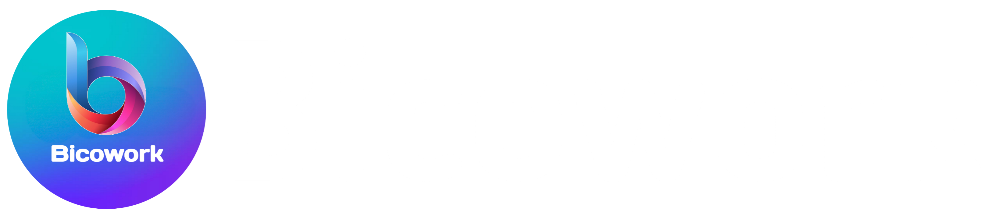 Bicowork IT & Software